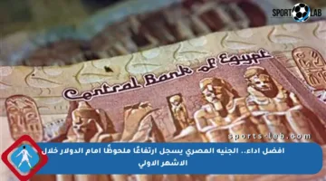 أفضل أداء.. الجنيه المصري يسجل ارتفاعًا ملحوظًا أمام الدولار خلال الأشهر الأولى